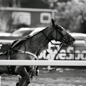 Aintree | Becher Chase | 3/12/22