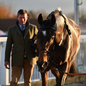 Aintree | Becher Chase | 3/12/22