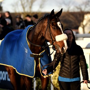 Aintree | Becher Chase | 3/12/22