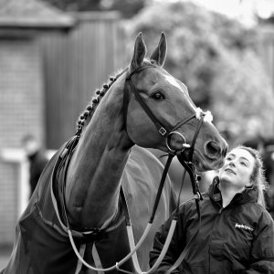 Aintree | Becher Chase | 3/12/22