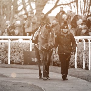 Aintree | Becher Chase | 3/12/22
