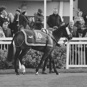 Aintree | Becher Chase | 3/12/22