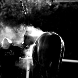 Aintree | Becher Chase | 3/12/22