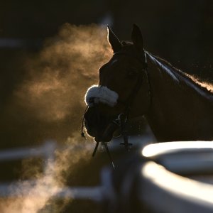 Aintree | Becher Chase | 3/12/22