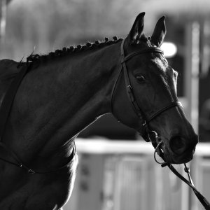 Aintree | Becher Chase | 3/12/22