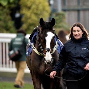 Aintree | Becher Chase | 3/12/22