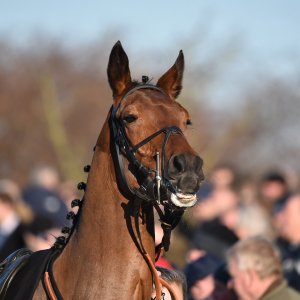 Aintree | Becher Chase | 3/12/22