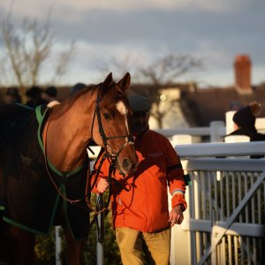 Aintree | Becher Chase | 3/12/22