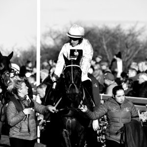 Aintree | Becher Chase | 3/12/22