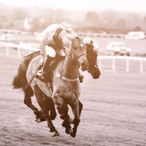 Aintree | Becher Chase | 3/12/22