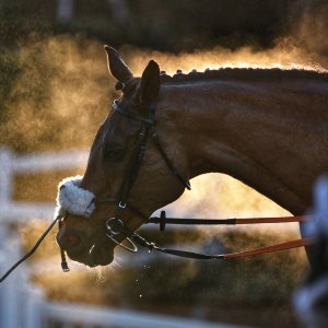 Aintree | Becher Chase | 3/12/22