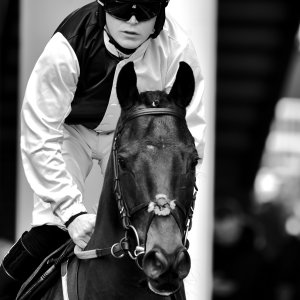 Aintree | Becher Chase | 3/12/22