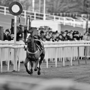 Aintree | Becher Chase | 3/12/22