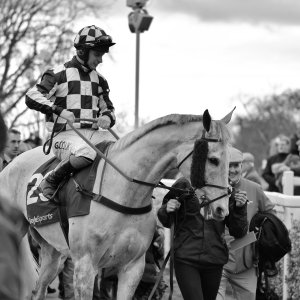 Aintree | Becher Chase | 3/12/22