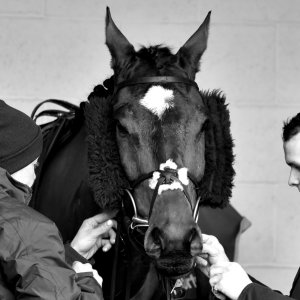 Aintree | Becher Chase | 3/12/22