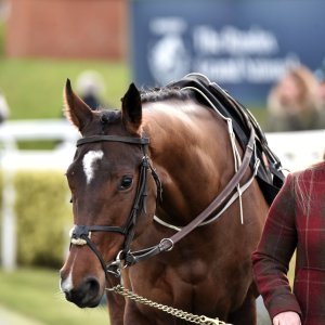 Aintree | Becher Chase | 3/12/22