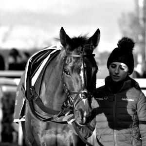 Aintree | Becher Chase | 3/12/22