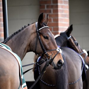 Aintree | Becher Chase | 3/12/22