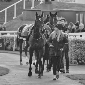 Aintree | Becher Chase | 3/12/22