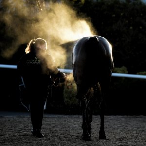 Aintree | Becher Chase | 3/12/22