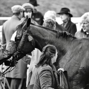 Aintree | Becher Chase | 3/12/22