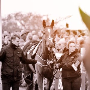 Aintree | Becher Chase | 3/12/22