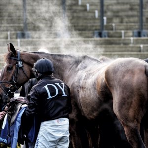 Aintree | Becher Chase | 3/12/22