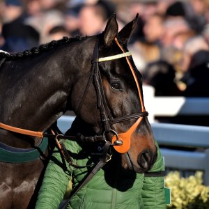 Aintree | Becher Chase | 3/12/22