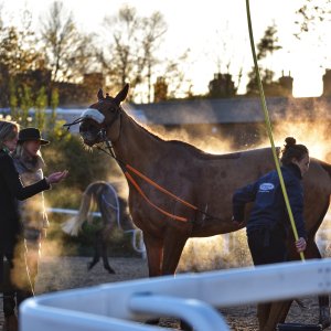 Aintree | Becher Chase | 3/12/22