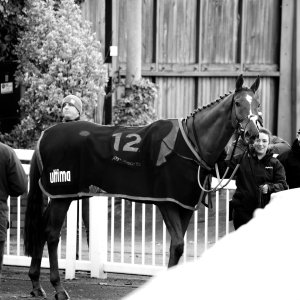 Aintree | Becher Chase | 3/12/22