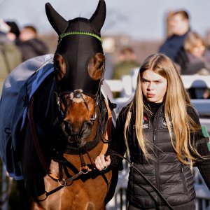 Aintree | Becher Chase | 3/12/22