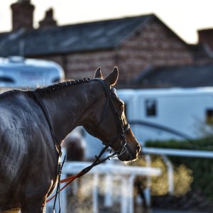 Aintree | Becher Chase | 3/12/22