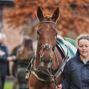 Aintree | Becher Chase | 3/12/22