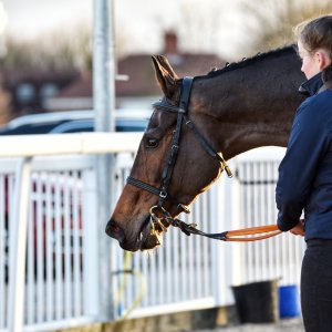 Aintree | Becher Chase | 3/12/22