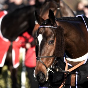 Aintree | Becher Chase | 3/12/22