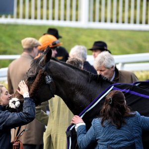 Aintree | Becher Chase | 3/12/22