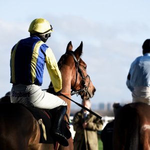 Aintree | Becher Chase | 3/12/22