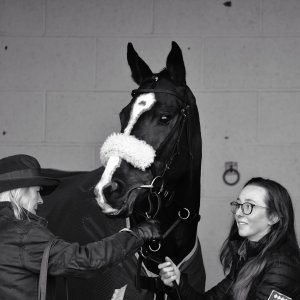 Aintree | Becher Chase | 3/12/22