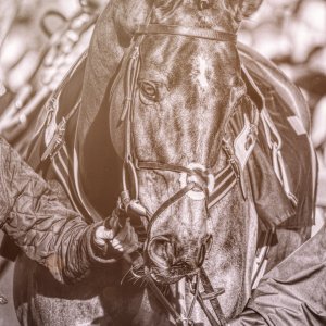 Aintree | Becher Chase | 3/12/22