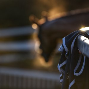 Aintree | Becher Chase | 3/12/22