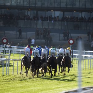 Aintree | Becher Chase | 3/12/22
