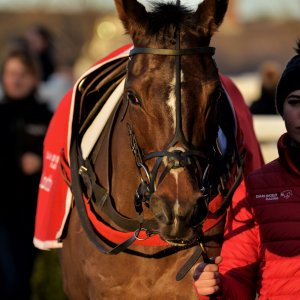 Aintree | Becher Chase | 3/12/22