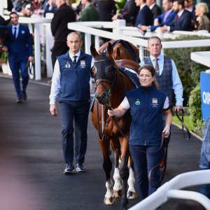 Ascot | QIPCO British Champions | 19/10/24