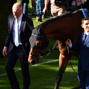 Ascot | QIPCO British Champions | 19/10/24