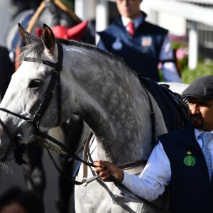 Ascot | QIPCO British Champions | 19/10/24