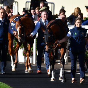 Ascot | QIPCO British Champions | 19/10/24