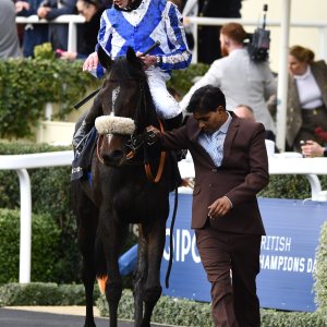 Ascot | QIPCO British Champions | 19/10/24