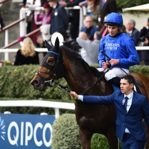 Ascot | QIPCO British Champions | 19/10/24