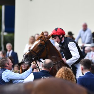 Ascot | QIPCO British Champions | 19/10/24