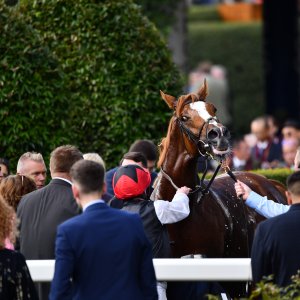 Ascot | QIPCO British Champions | 19/10/24